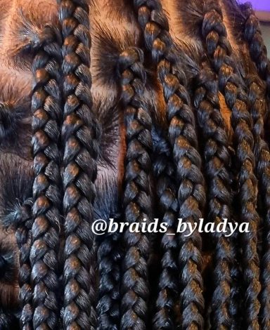 Closeup of Braids