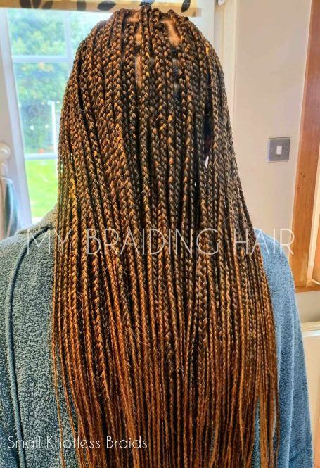 Small Braids from £100 Small Box Braids